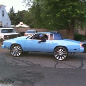 Meet your Posher, Michael